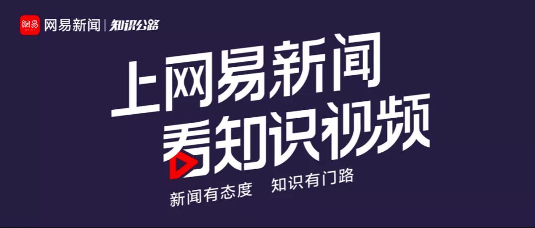 知识短视频卡位战，网易传媒以超级IP《知识公路》拓宽内容生态边界