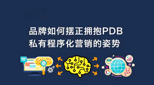 品牌应该如何正确拥抱PDB营销？