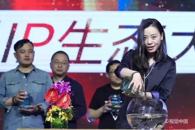 百位大咖齐聚超级lP生态大会启动酒会，共启IP生命力探索