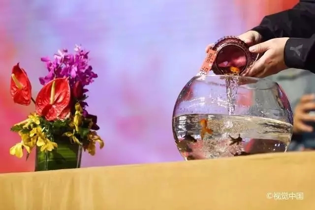 百位大咖齐聚超级lP生态大会启动酒会，共启IP生命力探索