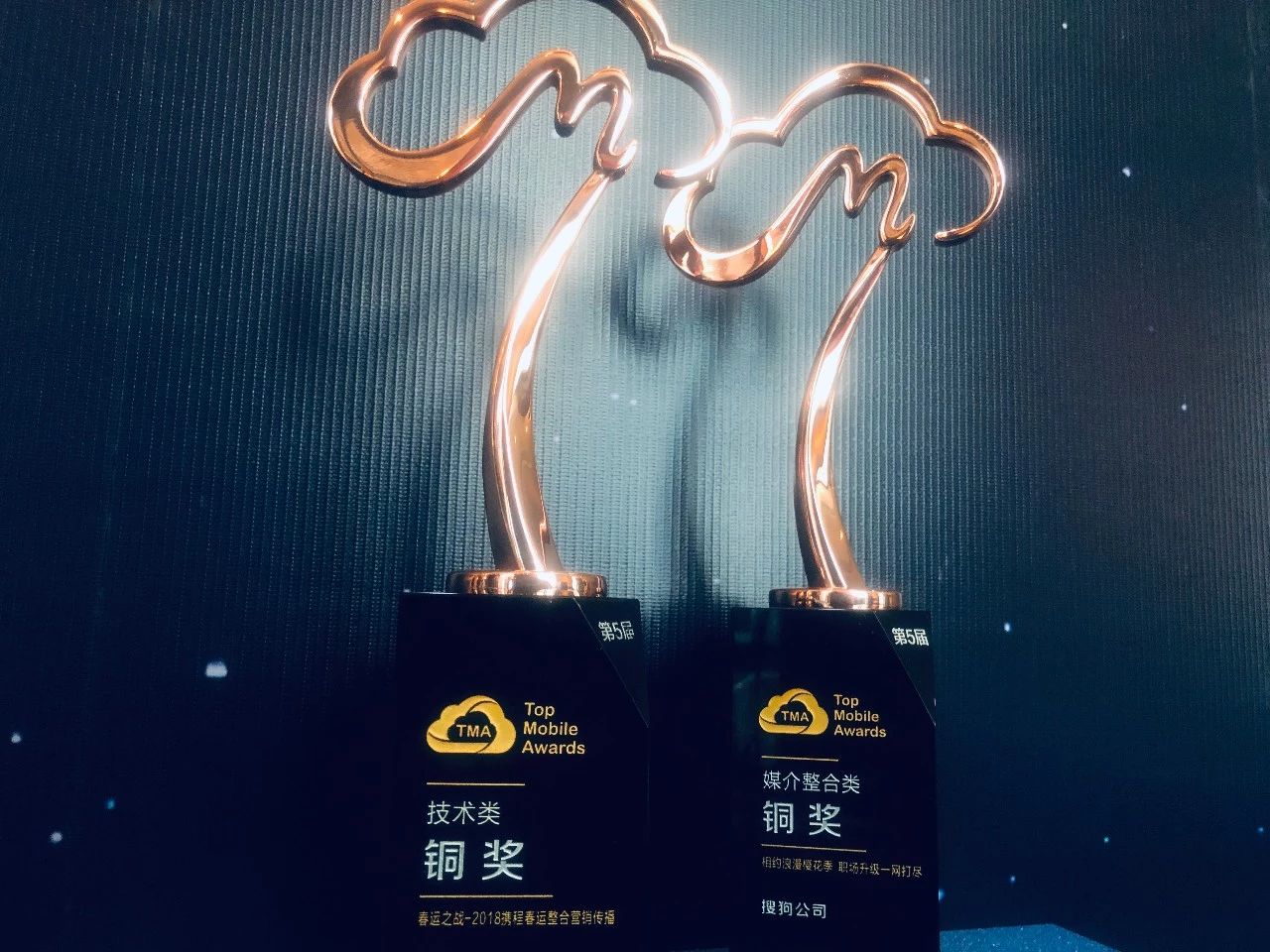 年底收割季，搜狗TMA又双叒叕拿奖啦~！