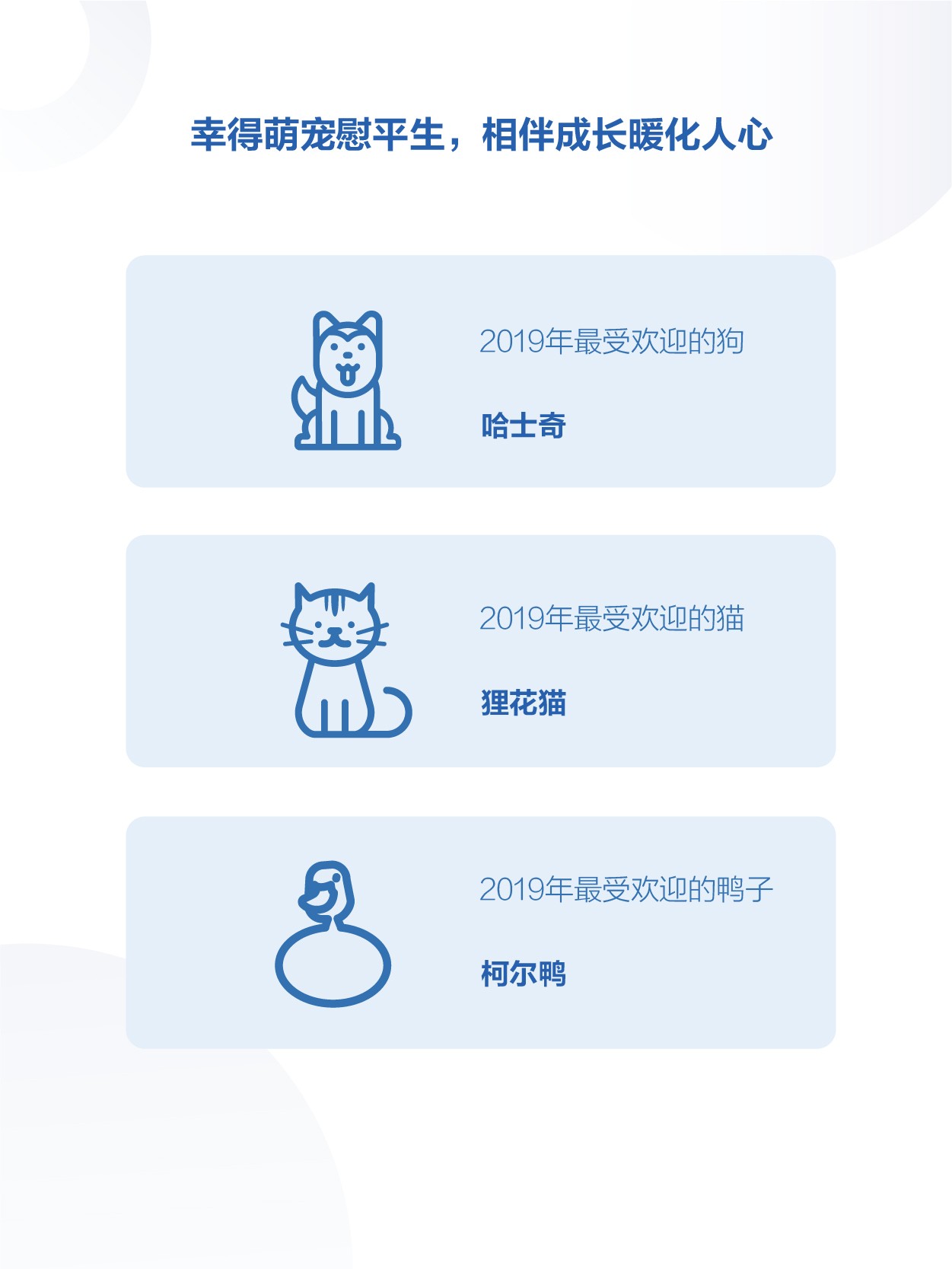 2019年抖音数据报告