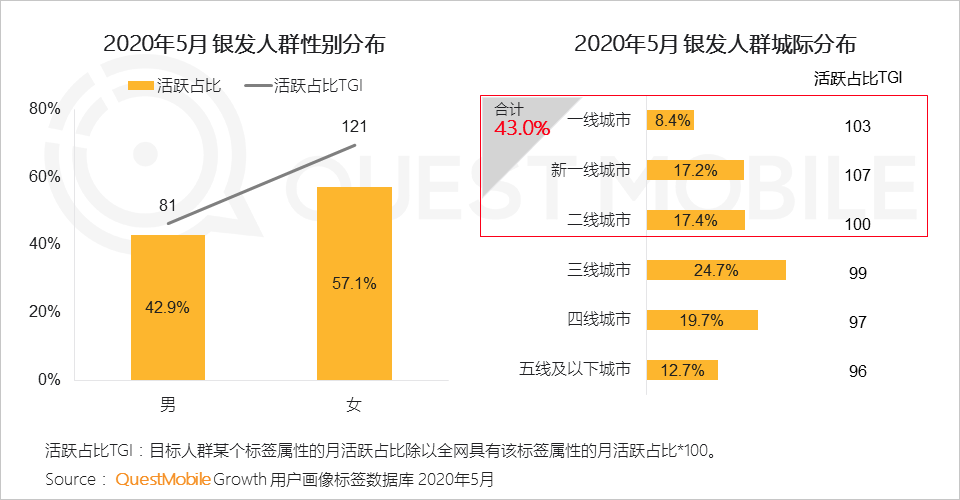 QuestMobile2020银发经济洞察报告：超1亿用户规模，玩转社交、视频、电商，银发